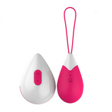 Wireless Remote Control Wearable Vibrator Vaginal Ball Vibrating Exercises